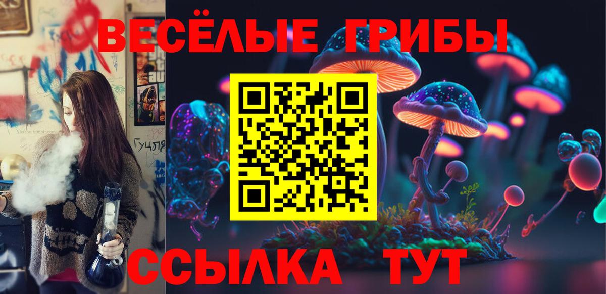 Псилоцибиновые грибы Psilocybe Тулун