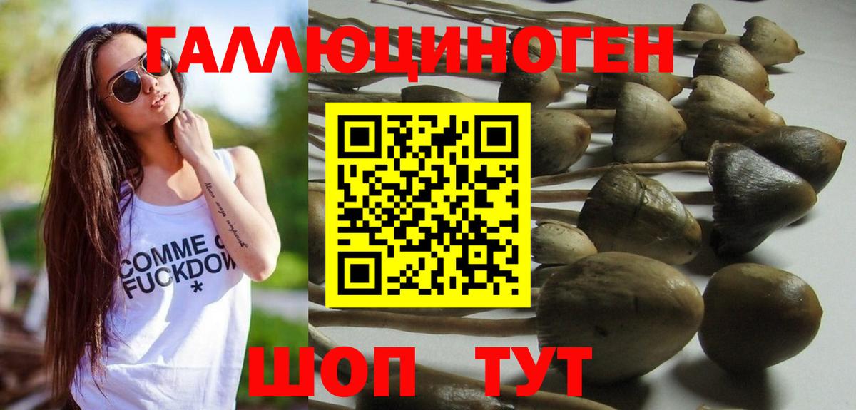 Псилоцибиновые грибы MAGIC MUSHROOMS  Вход с VPN  Тулун  Псилоцибиновые грибы Magic Shrooms 